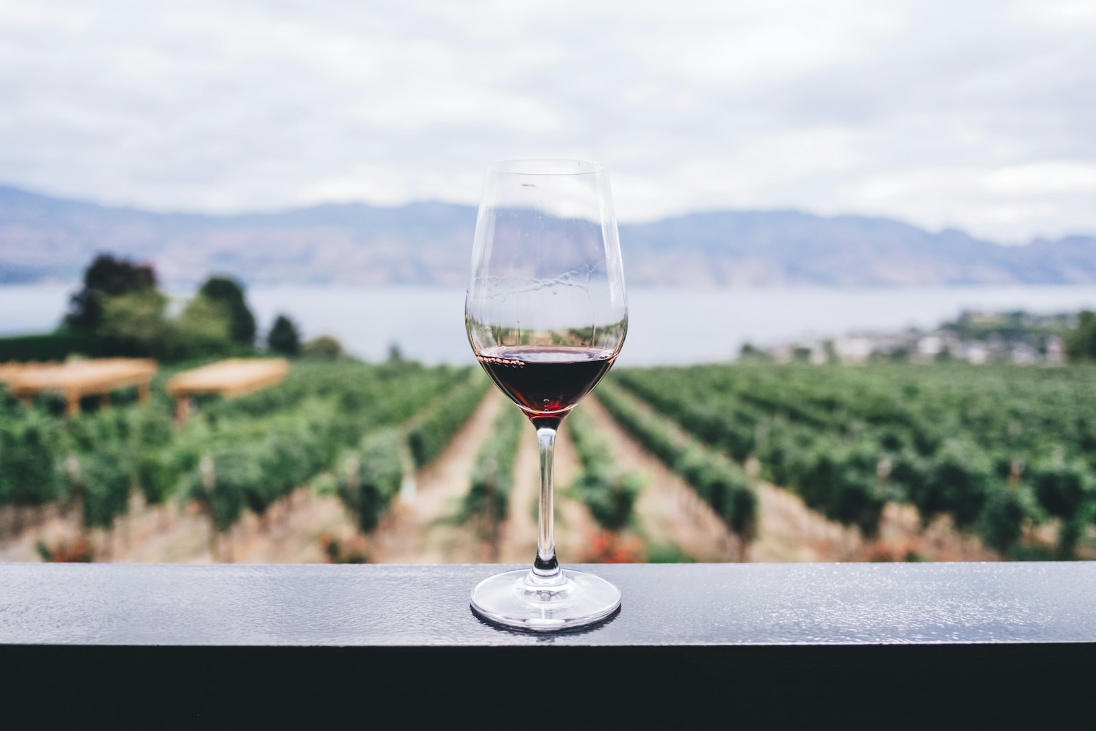 Wine in the hills